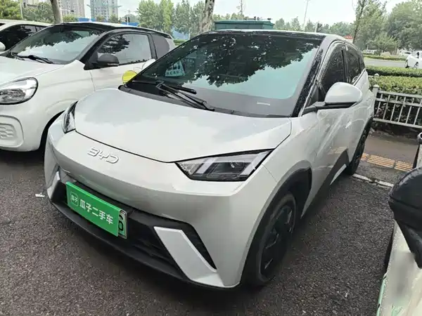 BYD Seagull 2024
