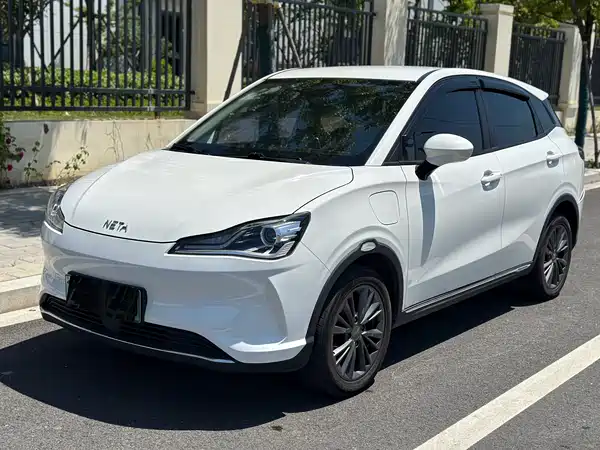 Neta V 2022