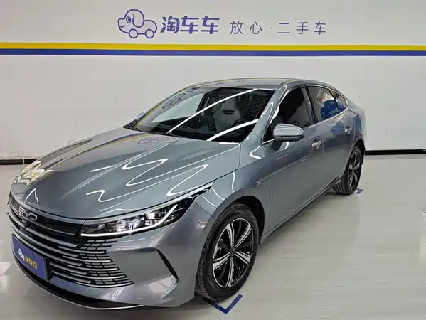 BYD Destroyer 05 2024