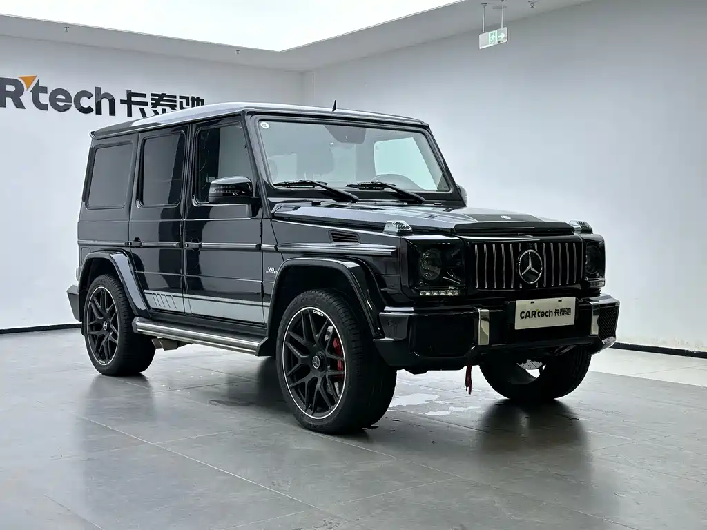 Mercedes-Benz G-Class 2016 — фото 8
