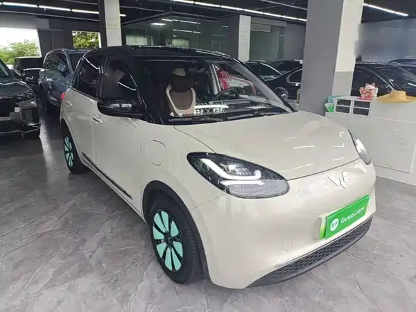 Wuling Bingo 2024