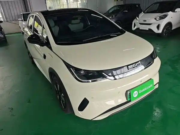 BYD Dolphin 2025