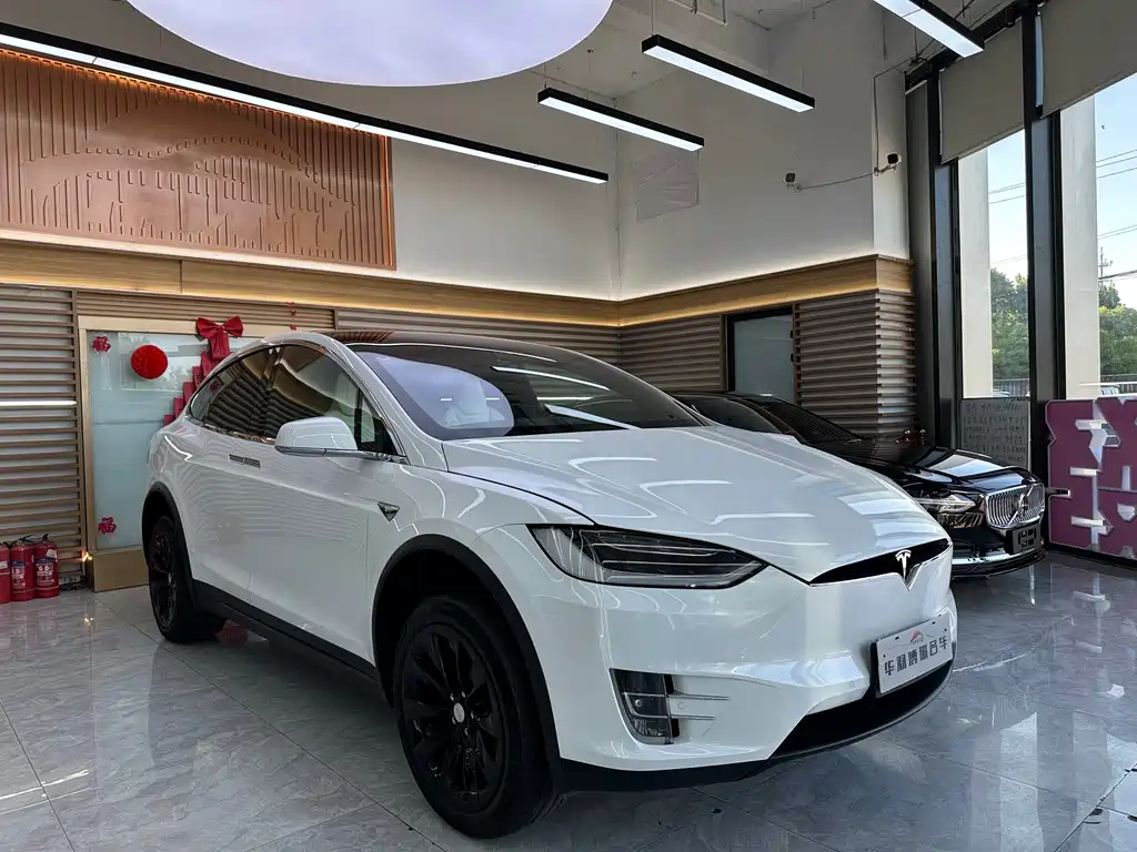 Tesla Model X 2019 — фото 3