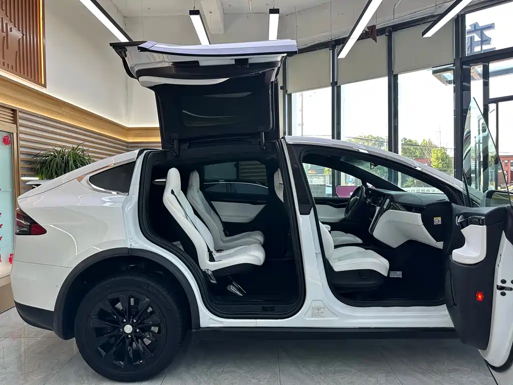 Tesla Model X 2019 — фото 22
