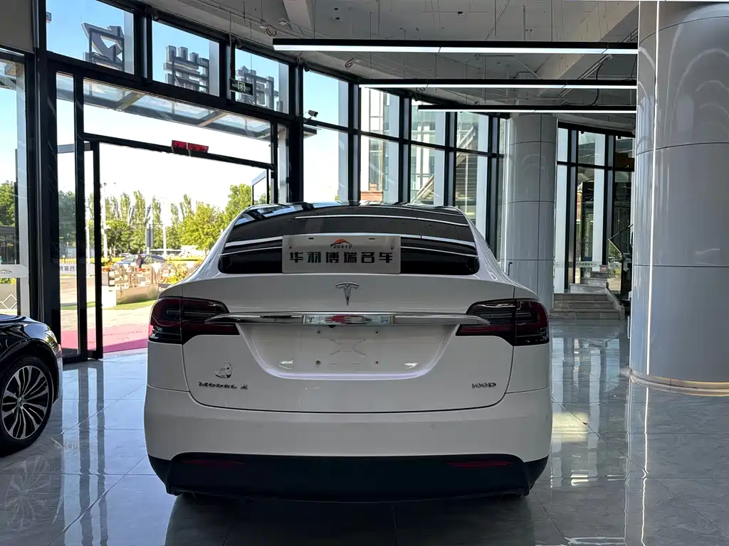 Tesla Model X 2019 — фото 24