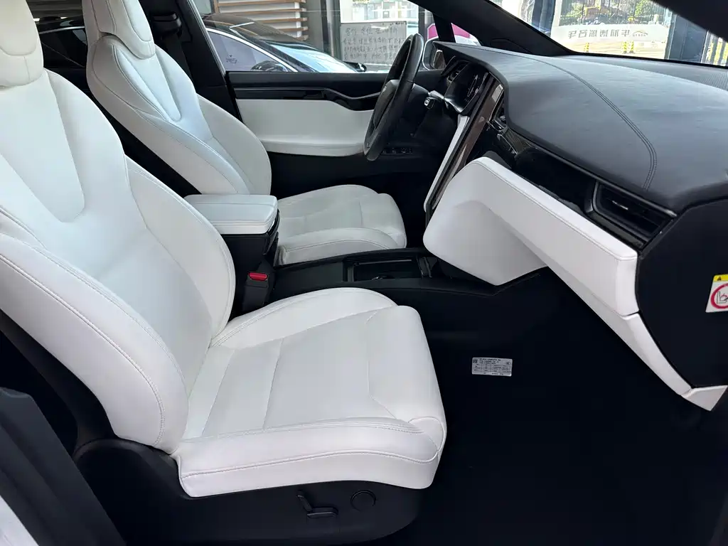 Tesla Model X 2019 — фото 21