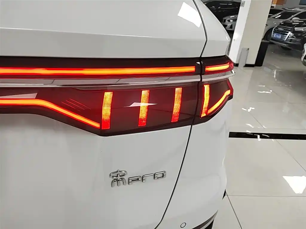 BYD Pro New Energy 2023 — фото 8