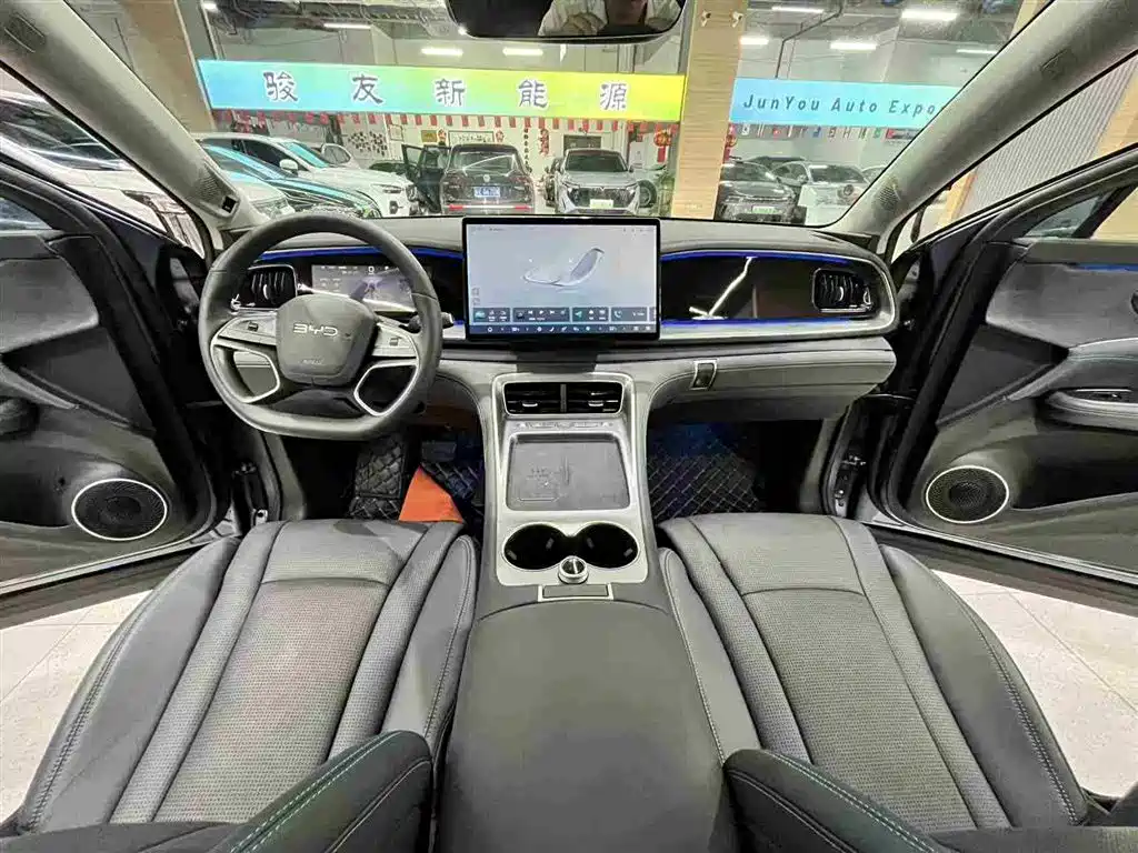 BYD Sealion 07 DM-i 2025 — фото 24