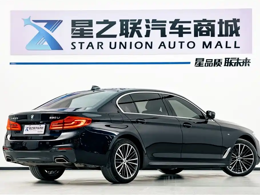 BMW 5 Series 2020 — фото 6