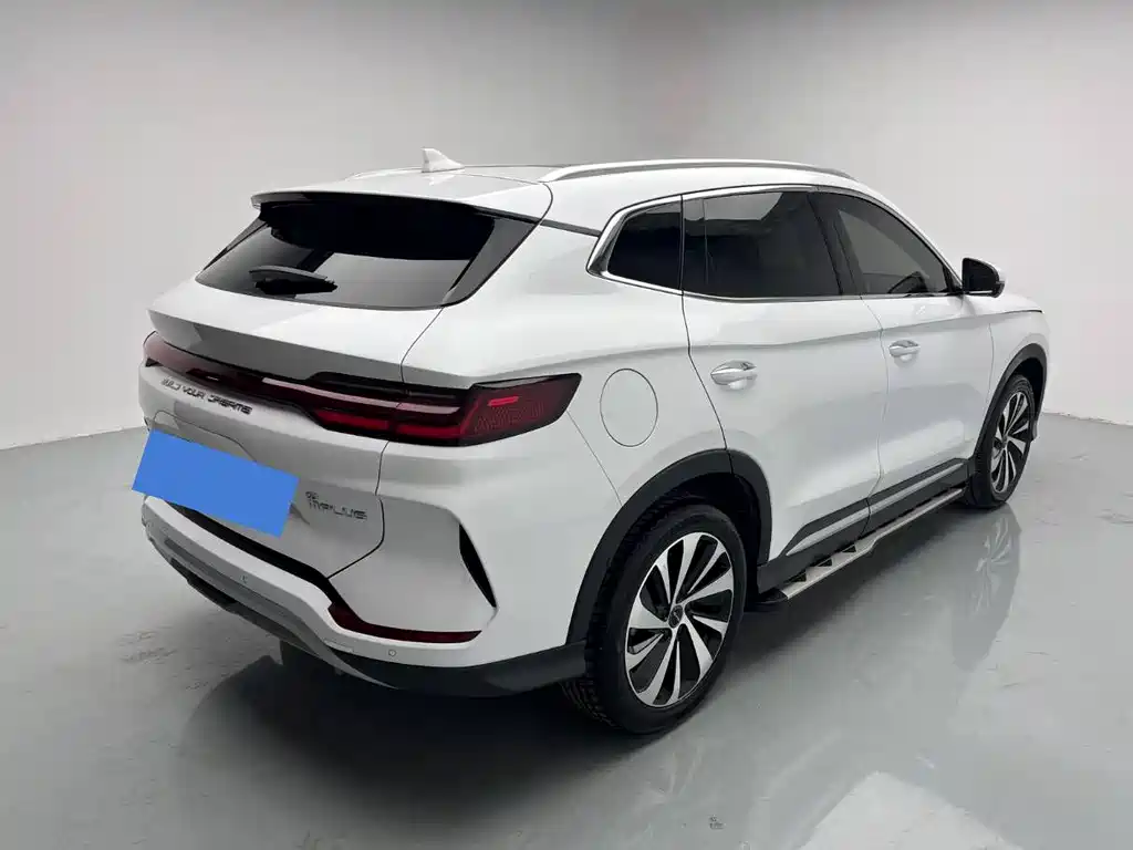BYD PLUS New Energy 2024 — фото 4
