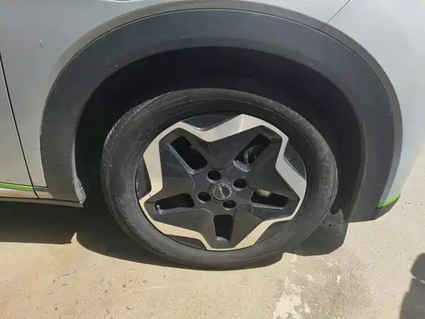 BYD Dolphin 2022