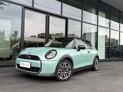 MINI MINI 2025