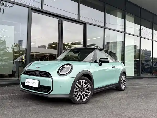 MINI MINI 2025