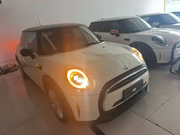 MINI MINI 2021