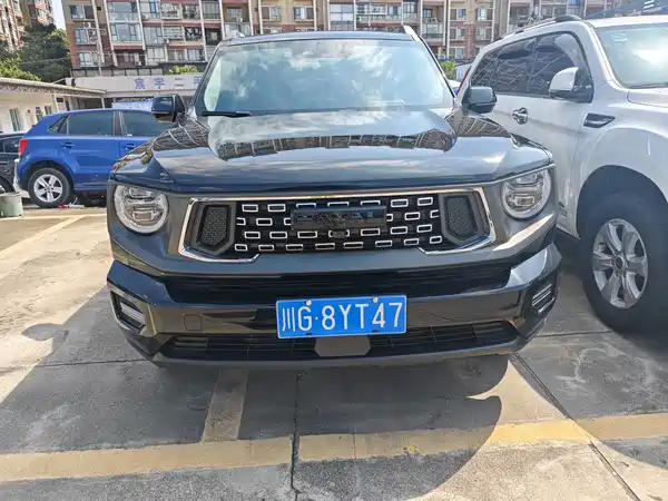 Haval Dog PLUS 2024