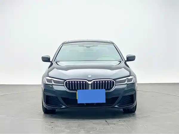 BMW 5 Series New Energy 2022
