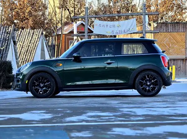 MINI MINI 2018
