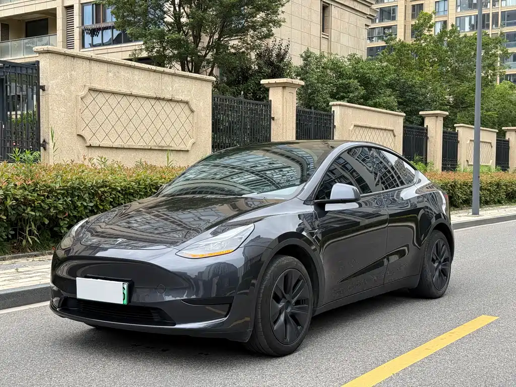 Tesla Model Y 2025 — фото 1