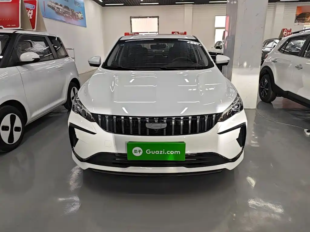 Geely Binrui 2026