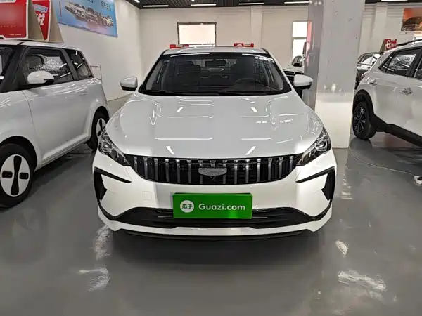Geely Binrui 2026