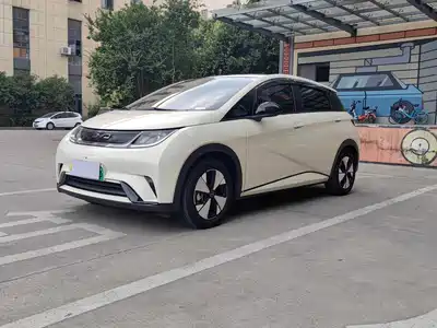 BYD Dolphin 2024