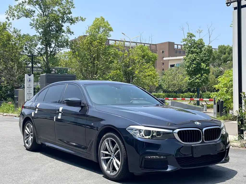 BMW 5 Series 2019