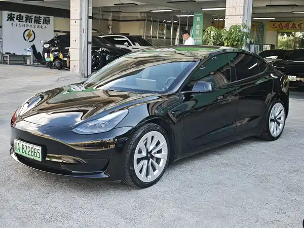 Tesla Model 3 2021