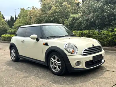 MINI MINI 2013