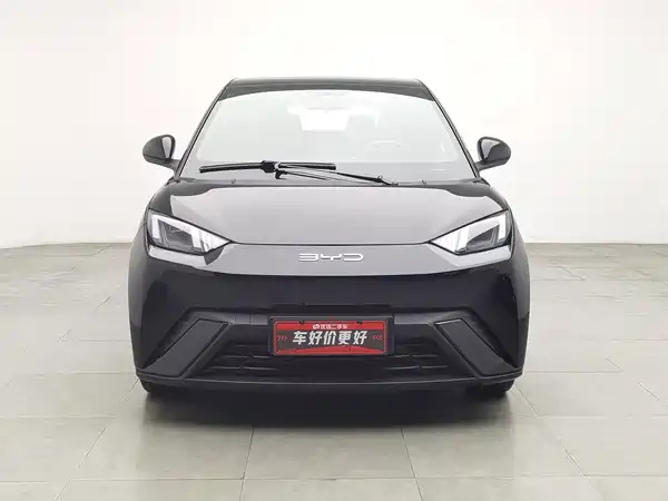 BYD Seagull 2024