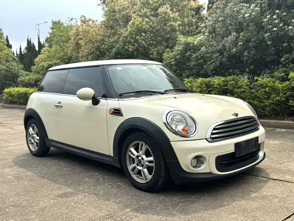 MINI 2013