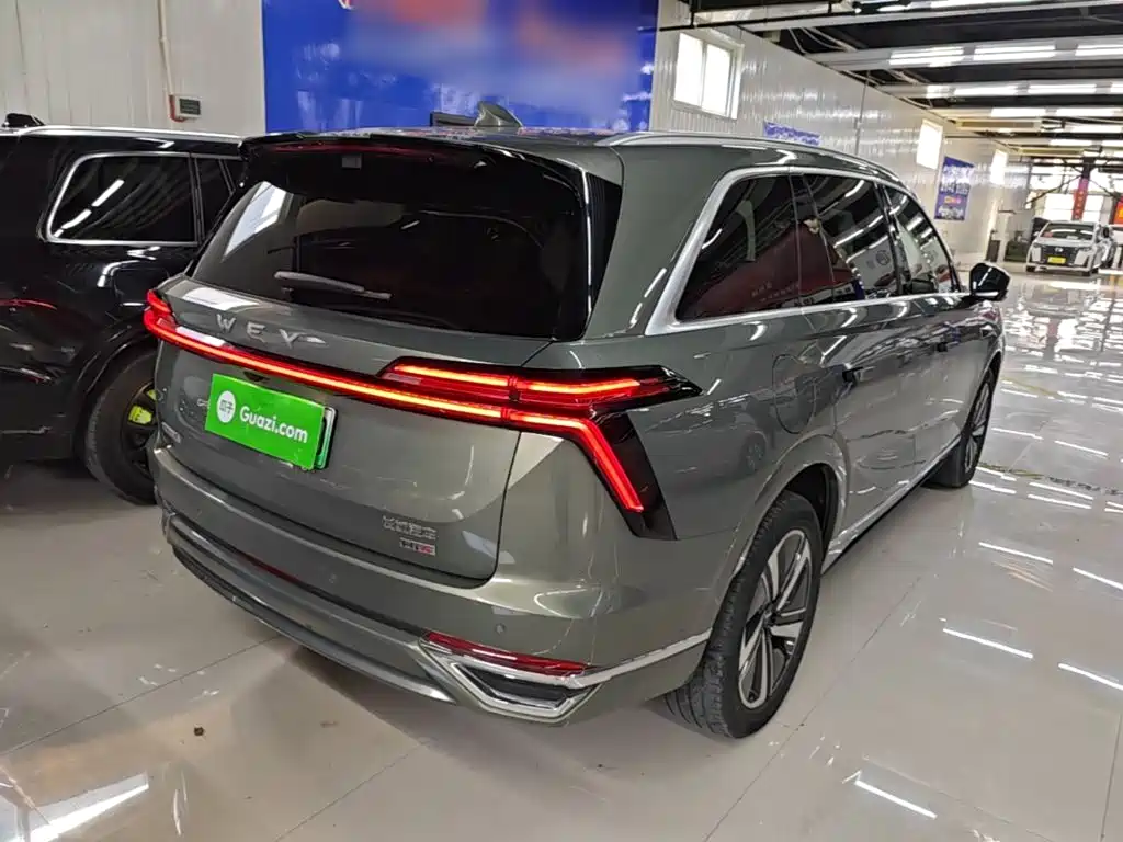 Wey Blue Mountain 2024 — фото 7