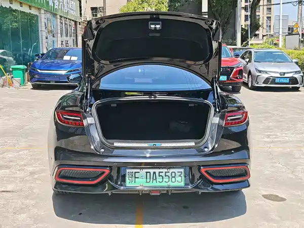 Neta GT 2024