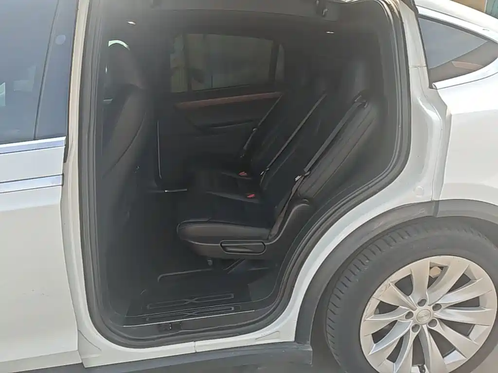 Tesla Model X 2020 — фото 17