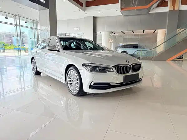 BMW 5 Series New Energy 2019