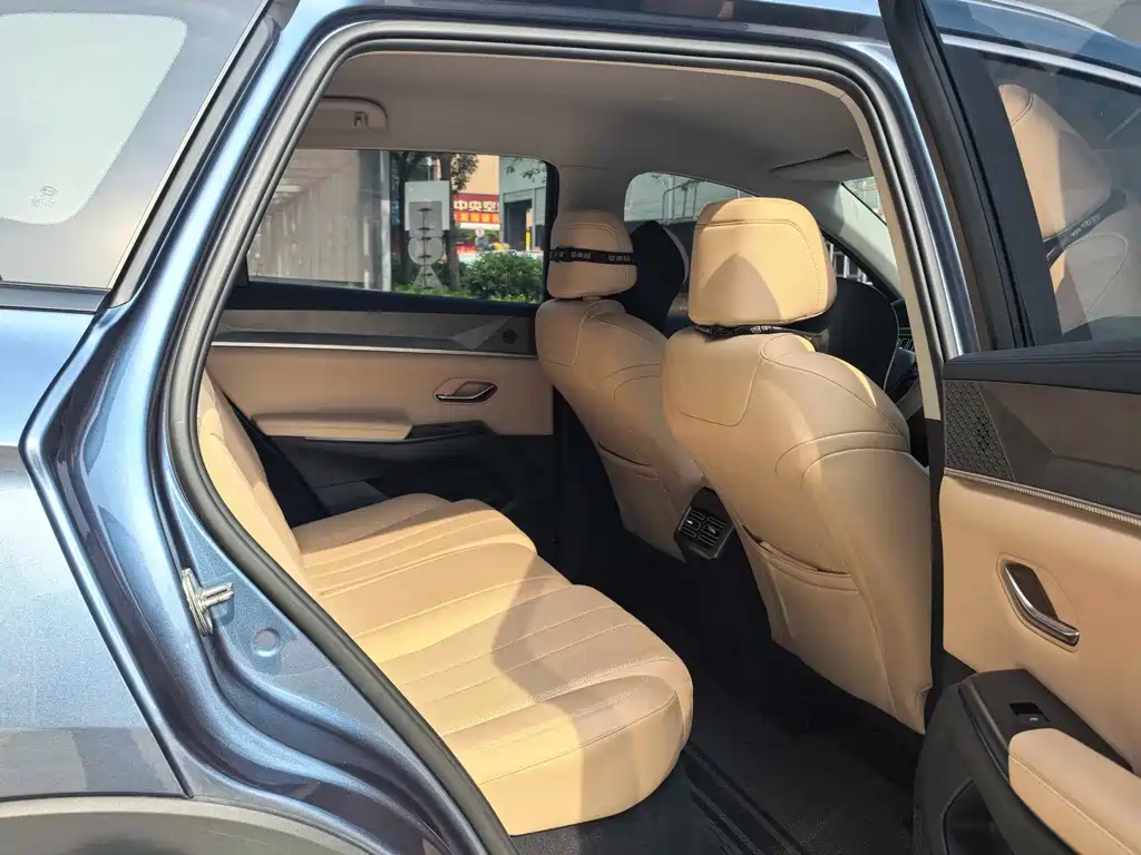 BYD Song Pro New Energy 2024 — фото 4