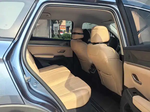 BYD Song Pro New Energy 2024