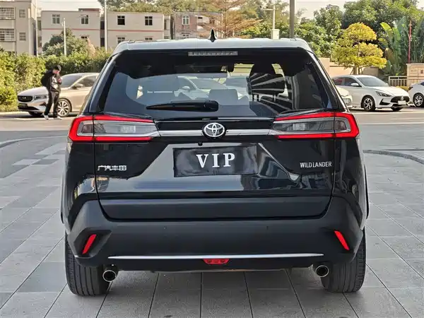 Toyota Wildlander 2022