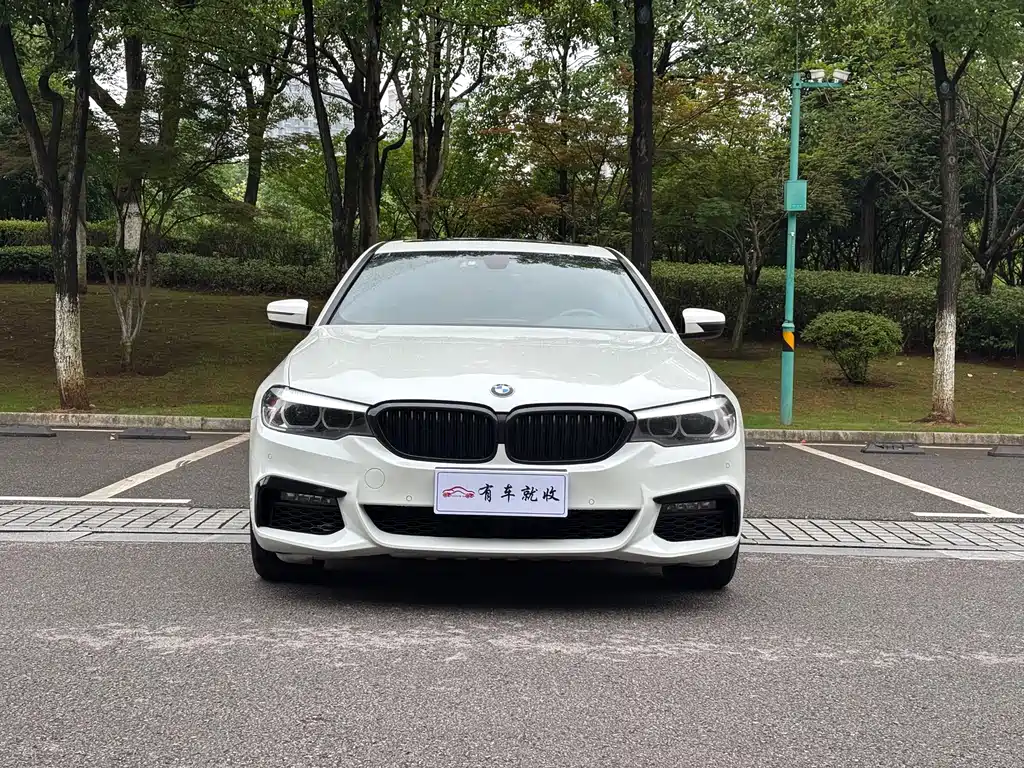 BMW 5 Series 2018