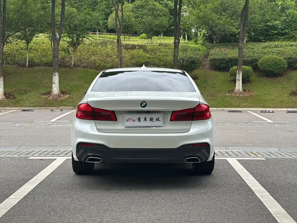 BMW 5 Series 2018 — фото 8