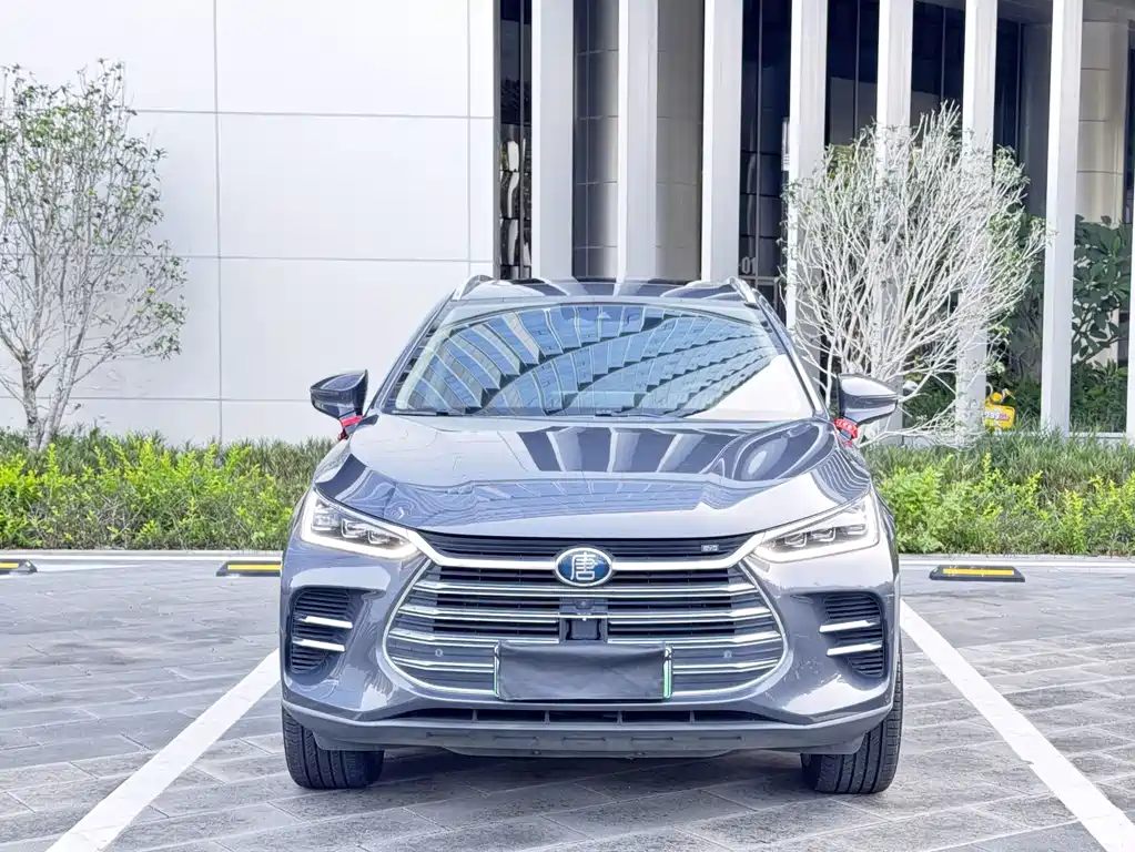 BYD Tang New Energy 2019 — фото 2