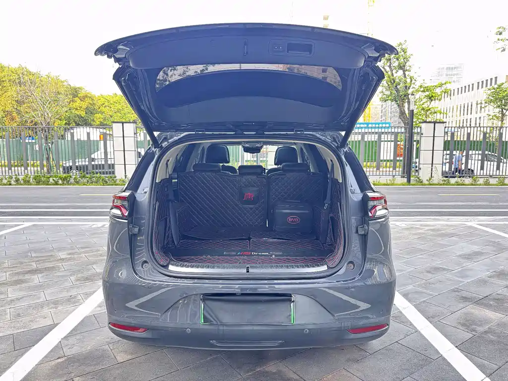 BYD Tang New Energy 2019 — фото 26