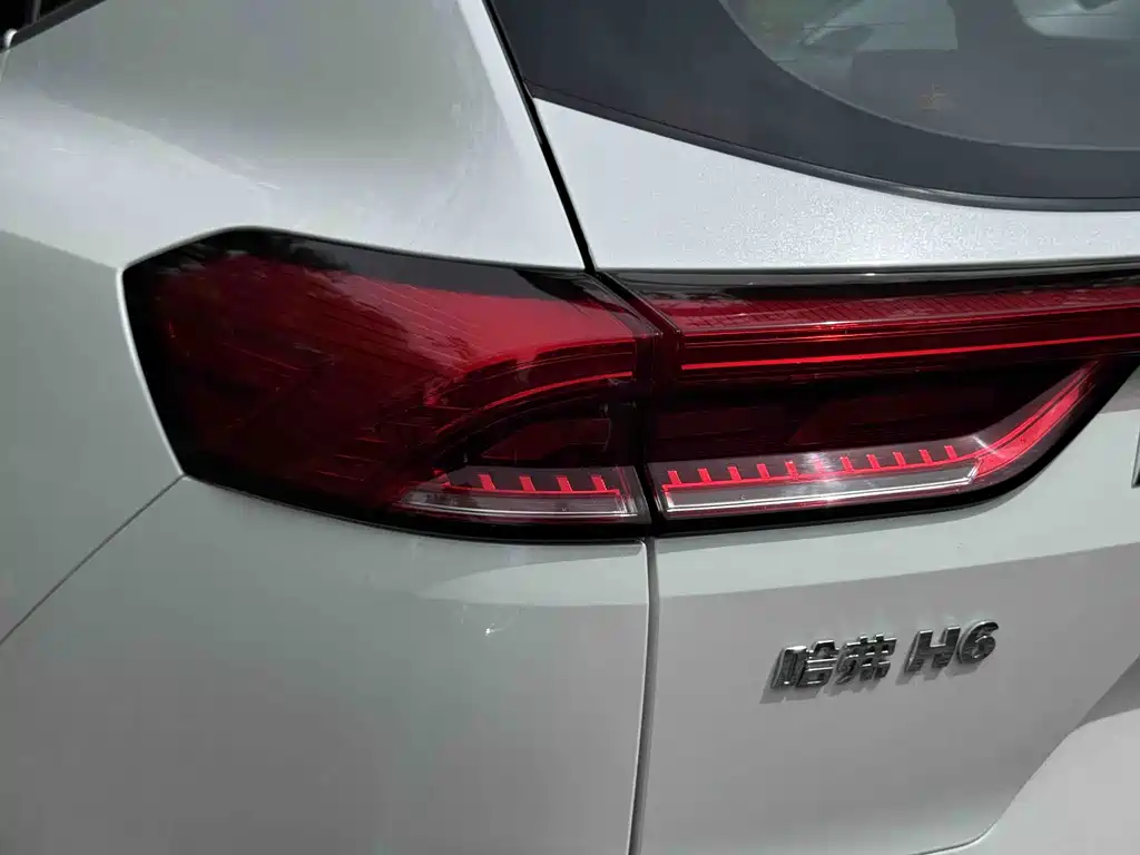 Haval H6 2023 — фото 33