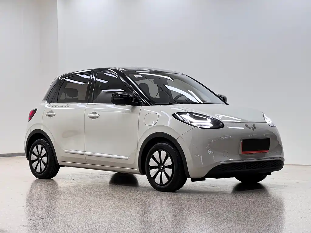 Wuling Bingo 2024