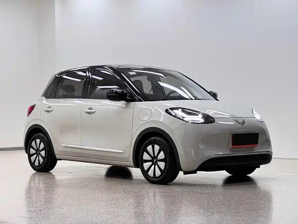 Wuling Bingo 2024