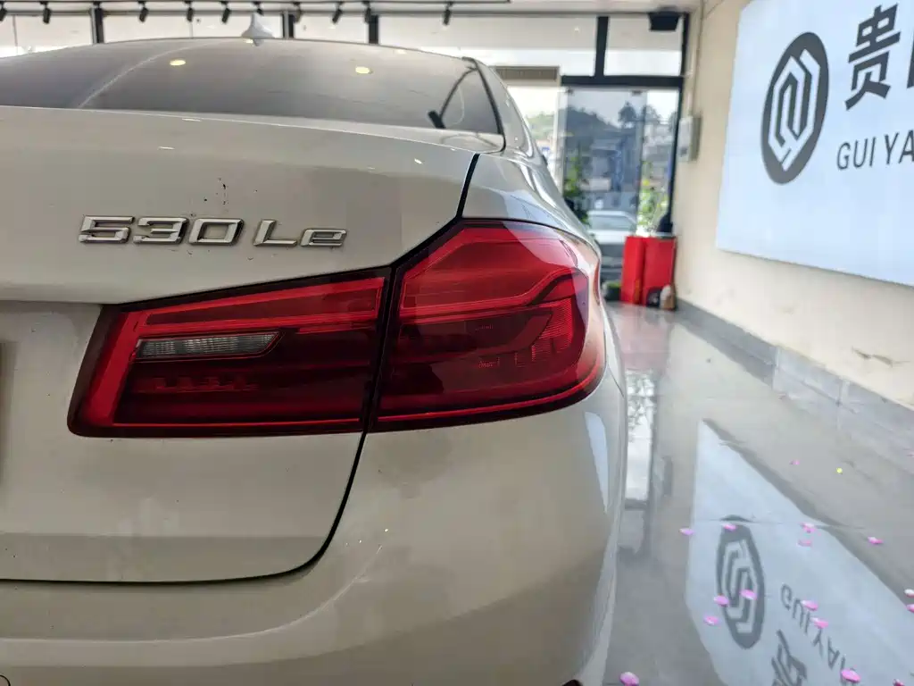 BMW 5 Series New Energy 2019 — фото 20