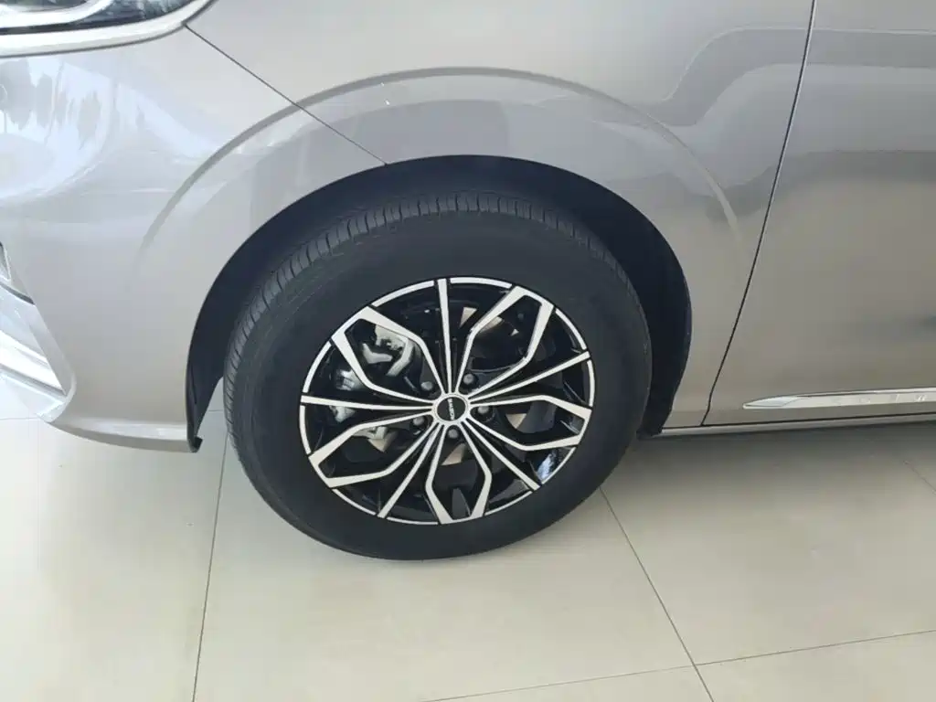 Roewe iMAX8 New Energy 2025 — фото 23