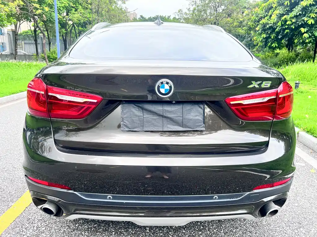 BMW X6 2015