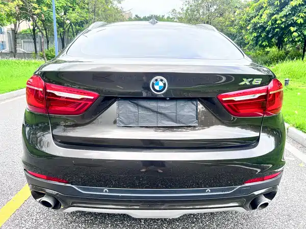 BMW X6 2015
