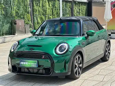 MINI MINI 2024
