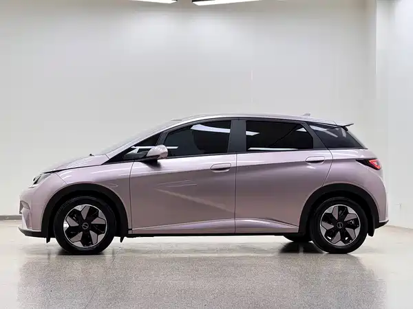 BYD Dolphin 2024